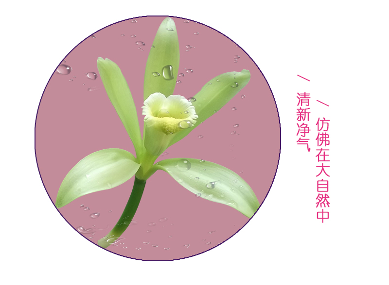 tatale避孕套香芬系列薰衣草香10只裝(圖6)